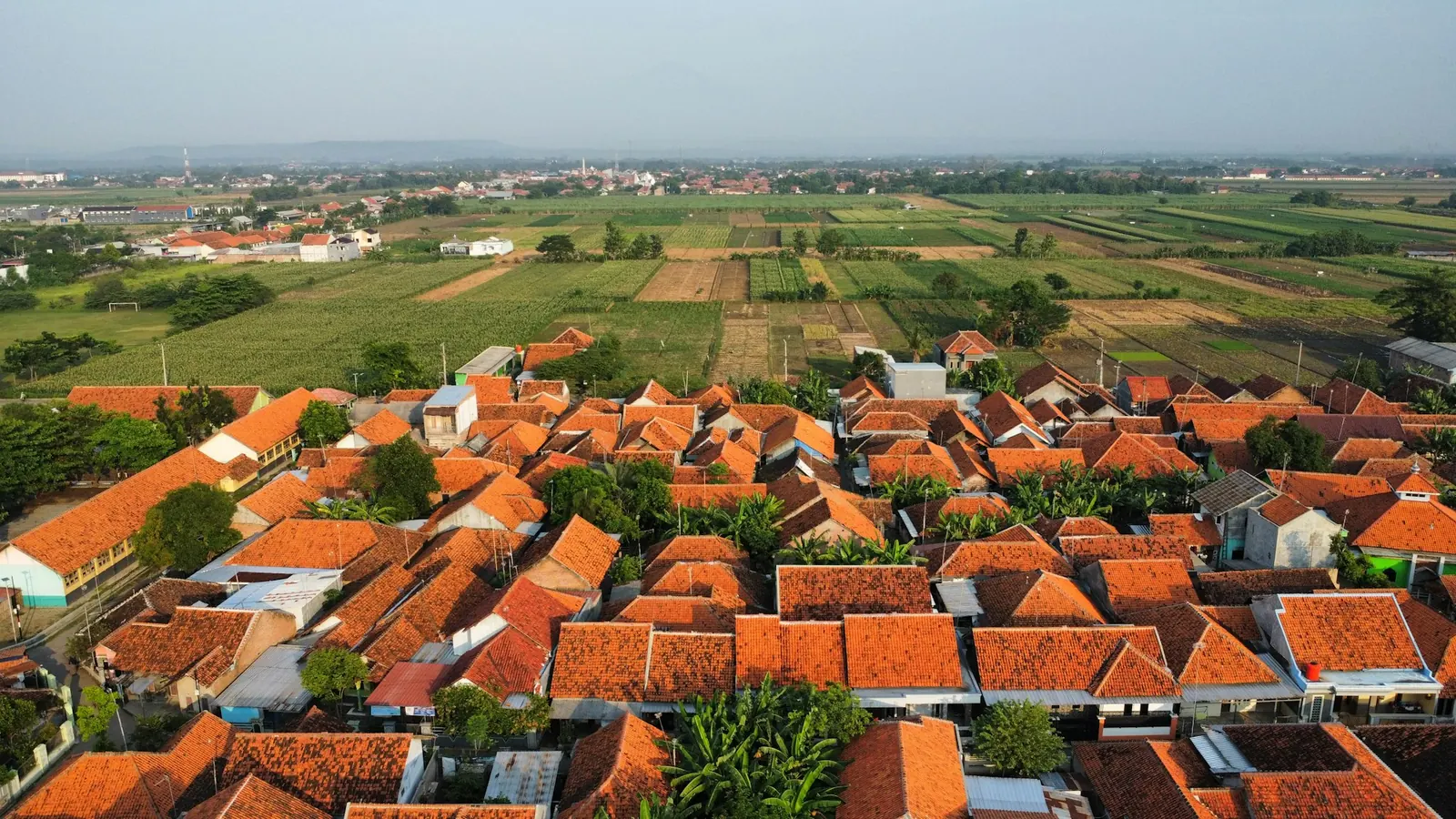 Aerial view of red-tiled village roofs among rice fields in West Java